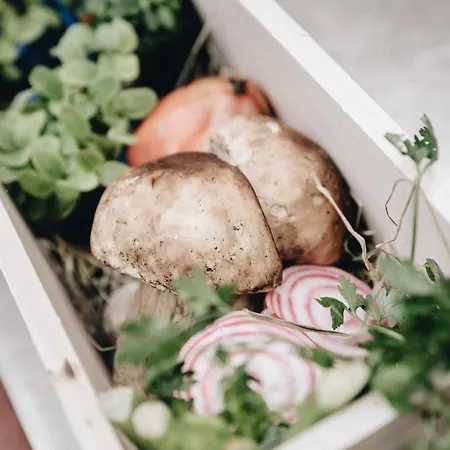 Hotel Der Greil - Wein & Gourmethotel 4*